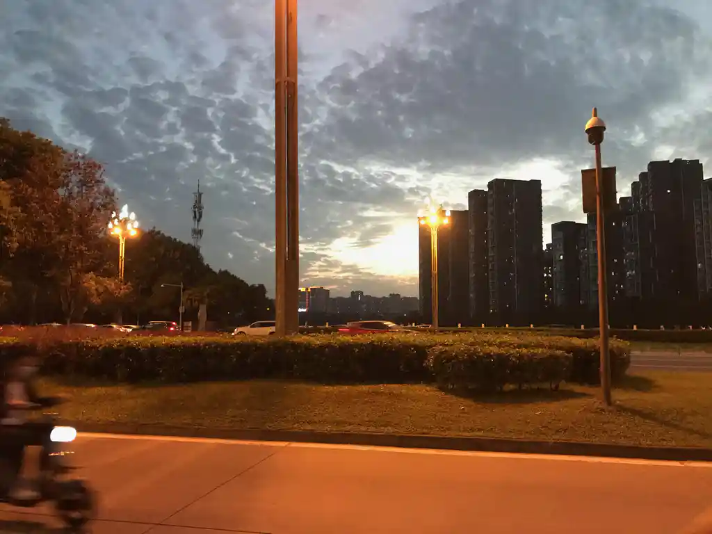IMG_0440